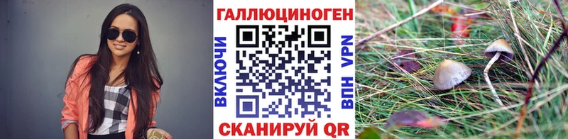 Псилоцибиновые грибы Psilocybine cubensis  продажа наркотиков  Черепаново 